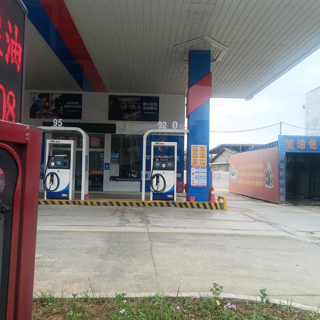 🌿相伴🍁相随☘️