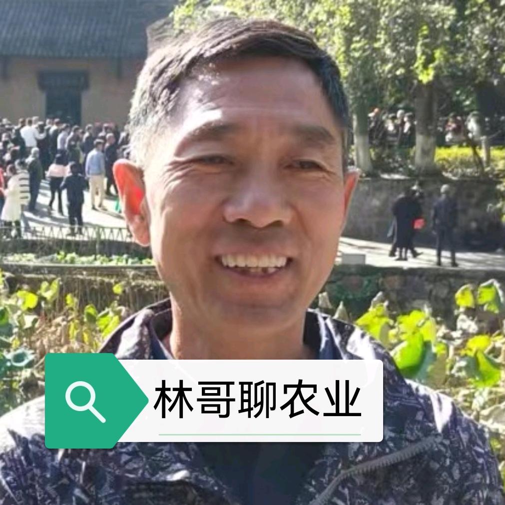 林哥植保