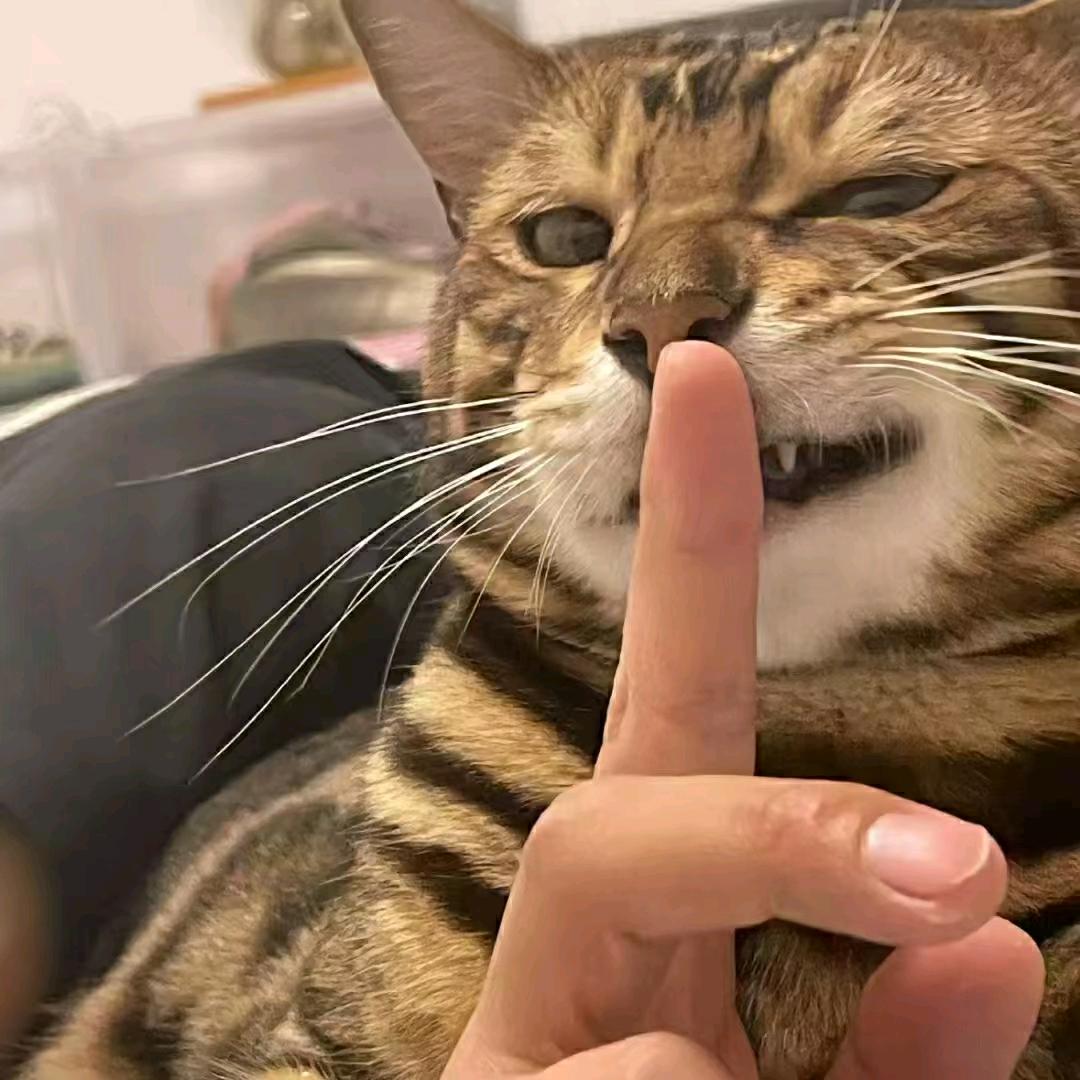 氿仙人