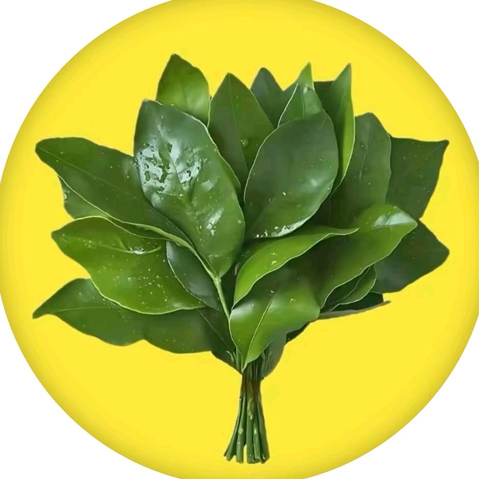 没有名字