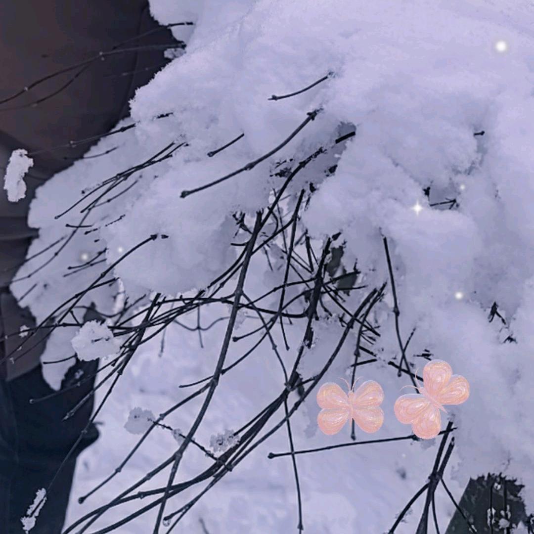 ❣️❣️❣️❣️