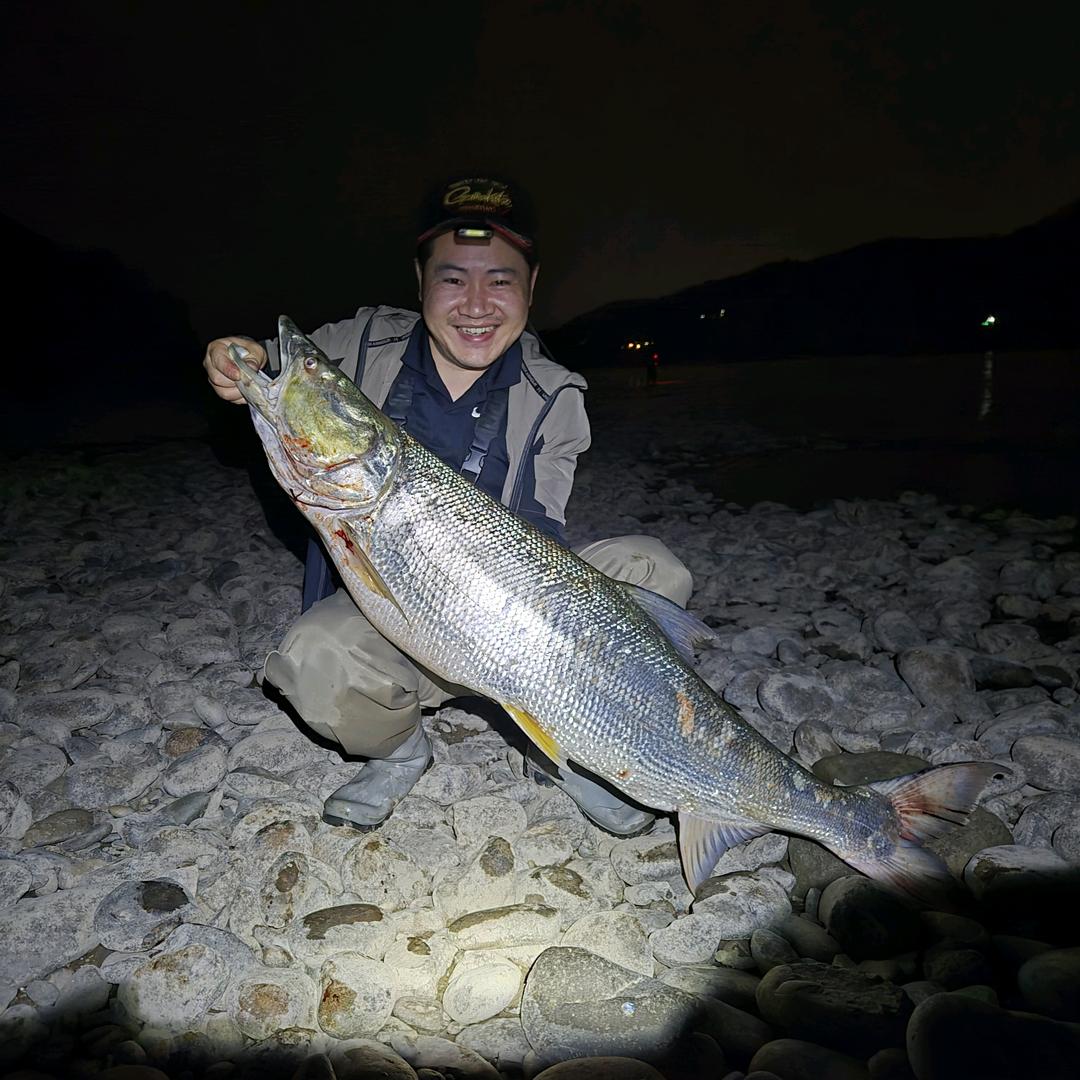 飞行员导师维唯