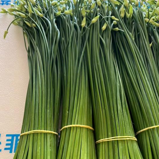 代收香菜韭菜
