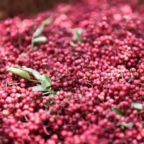 美姑红花椒出售