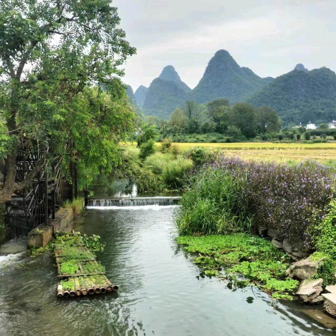 焜舒(时来运转)