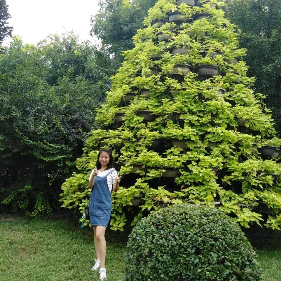 恋乡人小奇（重生版)