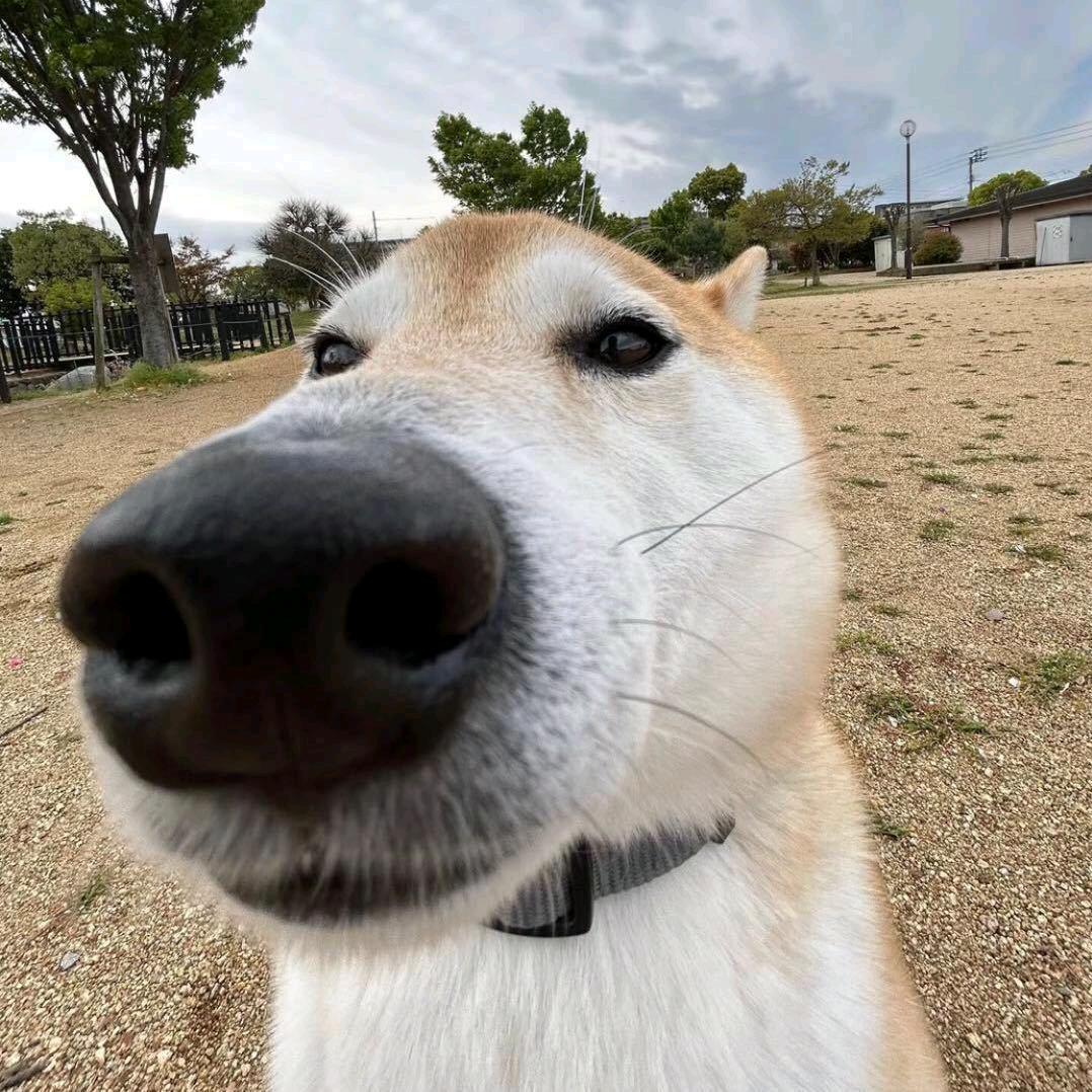 吃饭的时候不饿