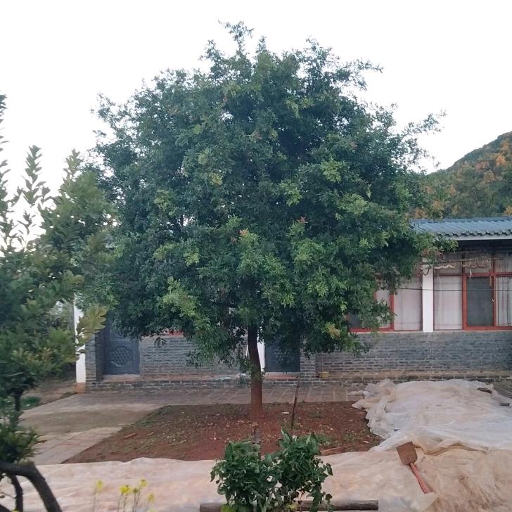 你是我唯一💖💃