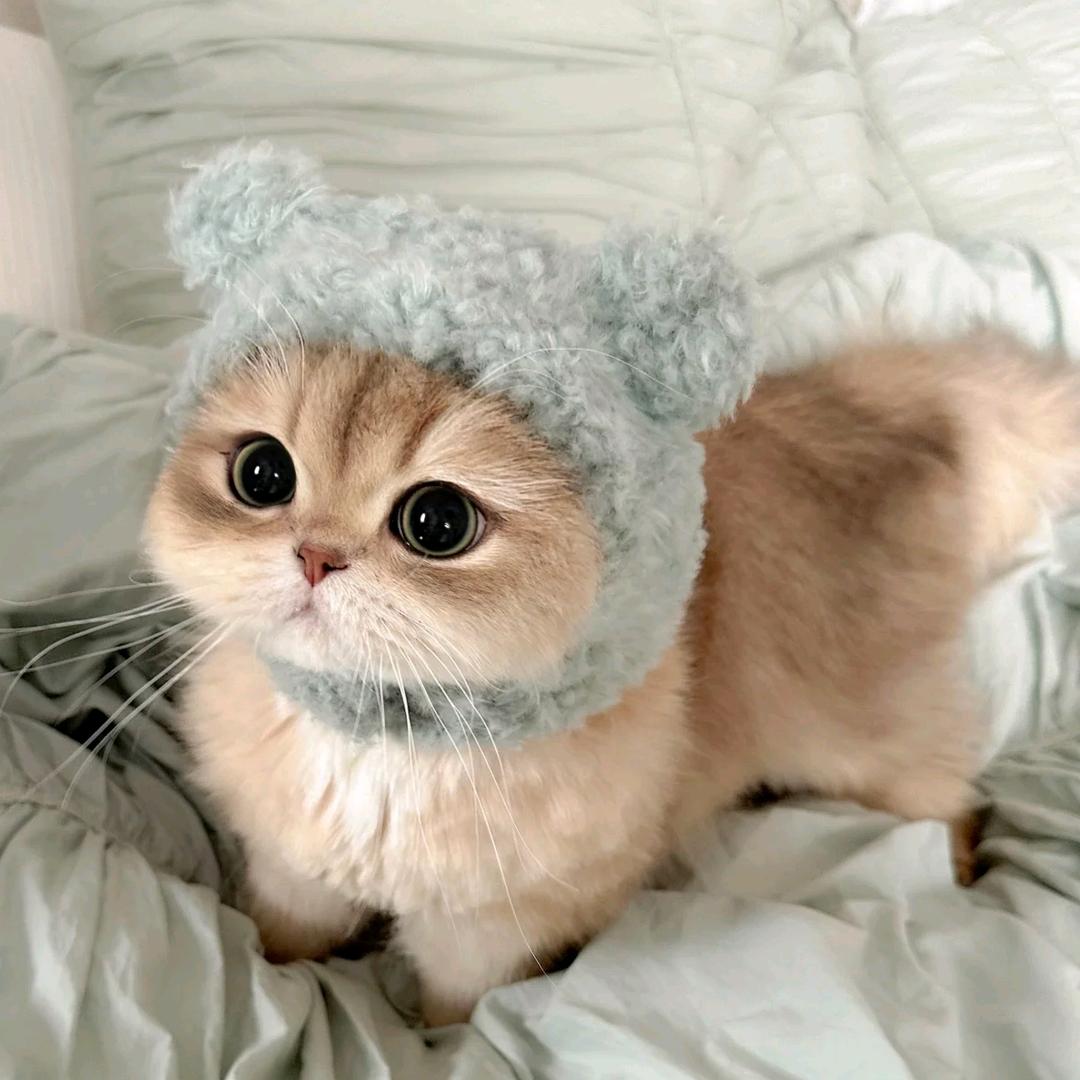 蓝儿