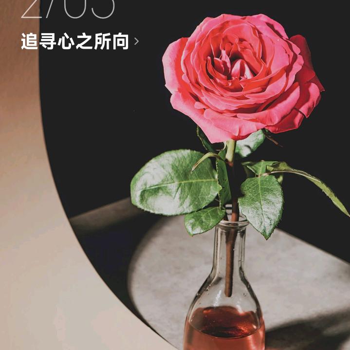 美丽【好物在橱窗】