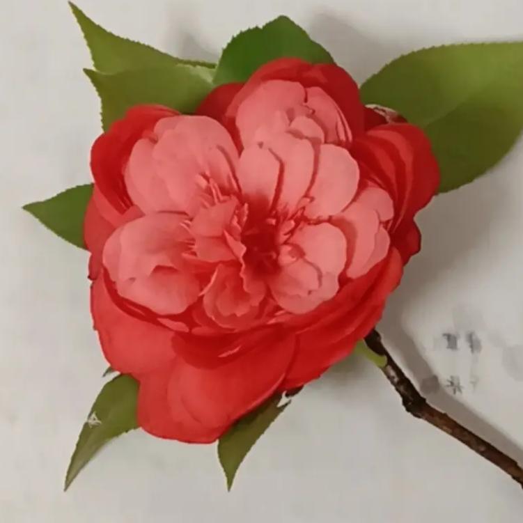 健康平安就是福
