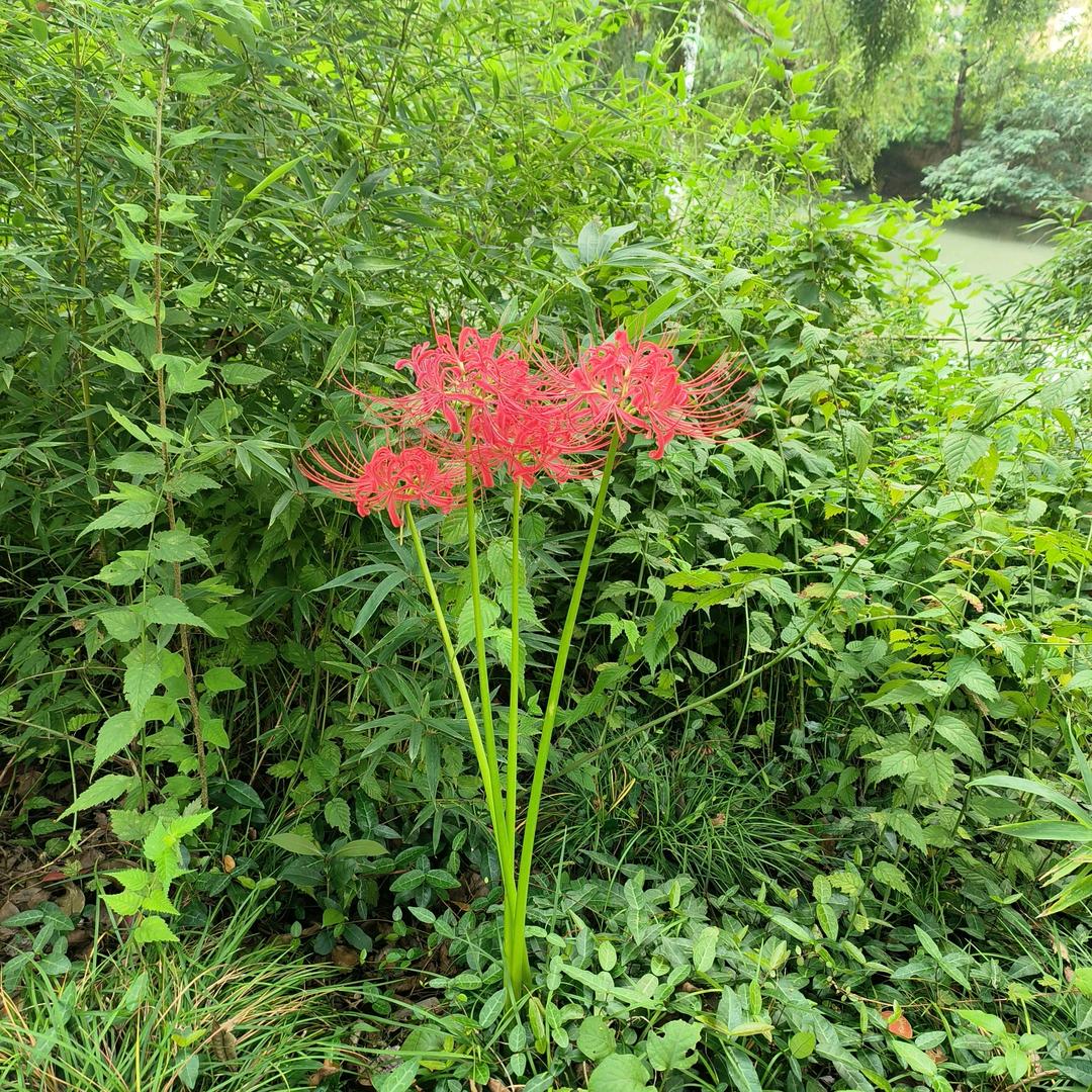 k别忘了疼自己。