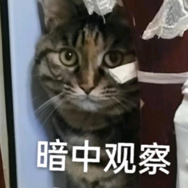 你二大爷的大爷