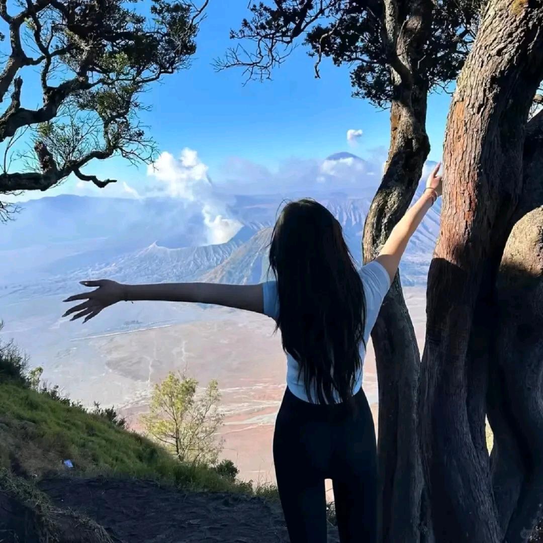 🌻请叫我小王吧！🌻