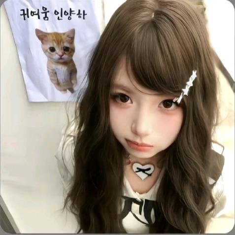 小猫教主