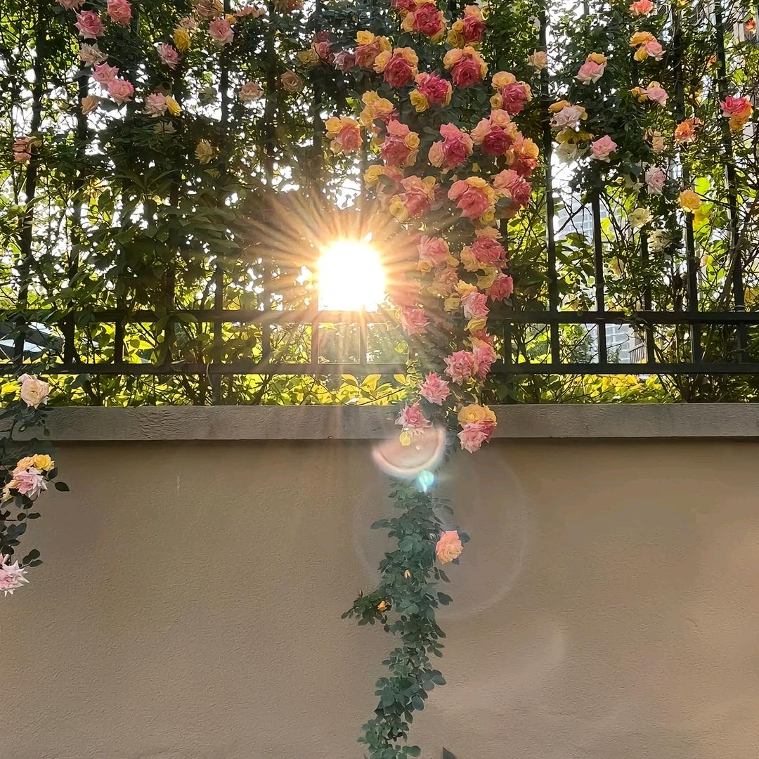 大栗港诚信油坊