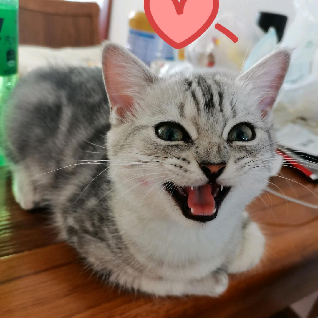 🌈有你真甜2020🌟