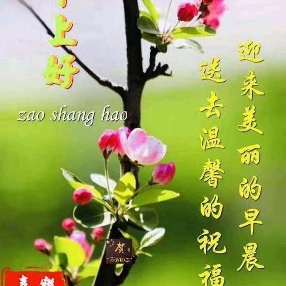 七零后的老阿姨