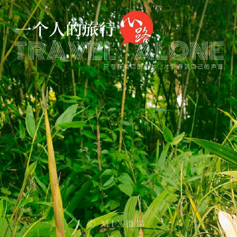 林晨记录生话