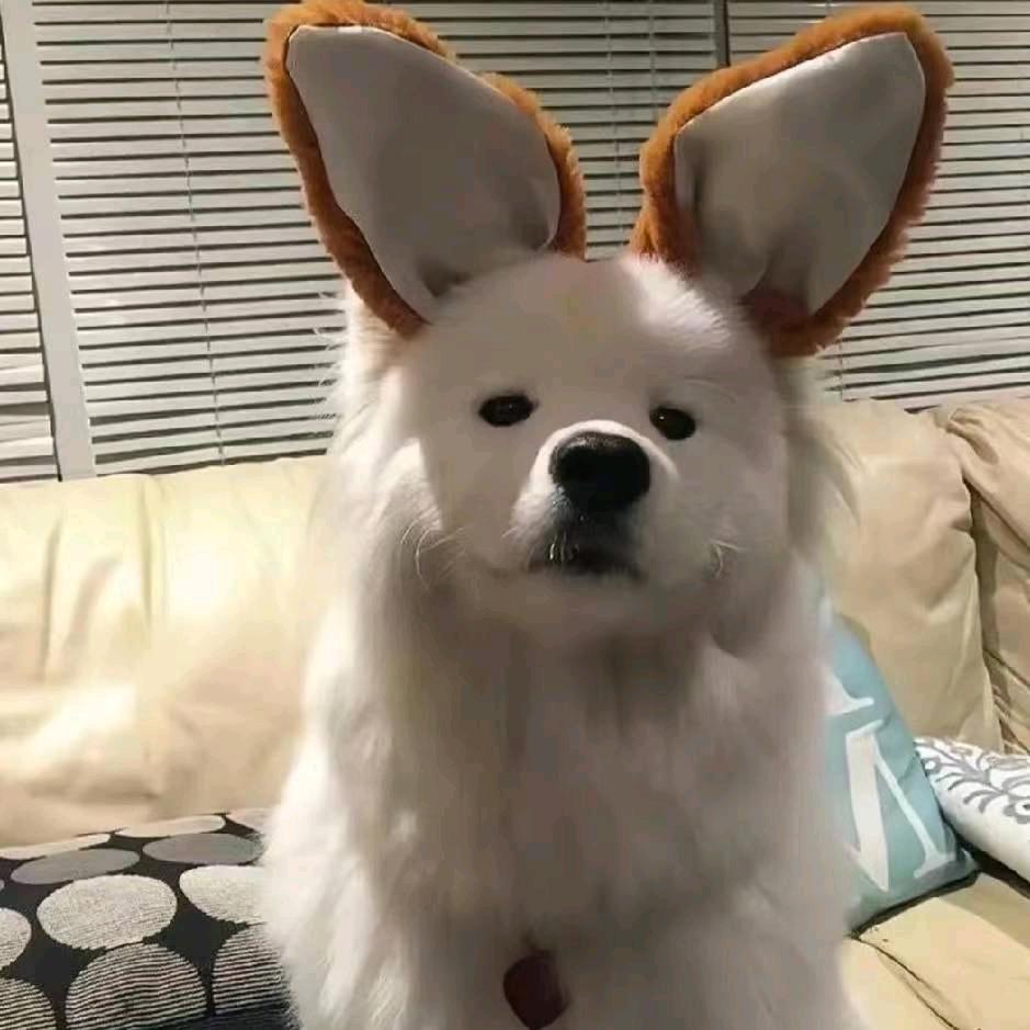 瞳瞳瞳瞳瞳瞳.