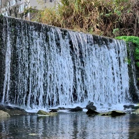 不忘初心(*^ω^*)