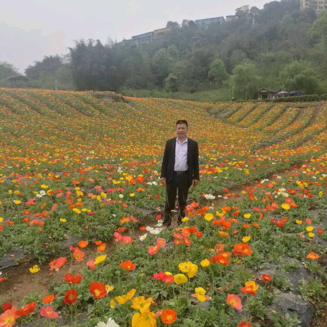 有原走不散，无远