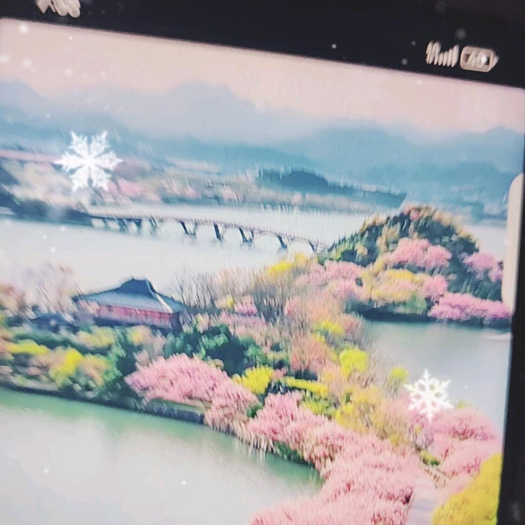 善