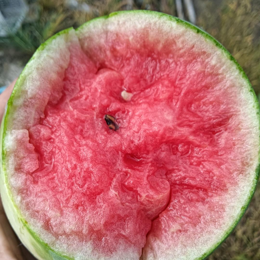 爱拼才会赢