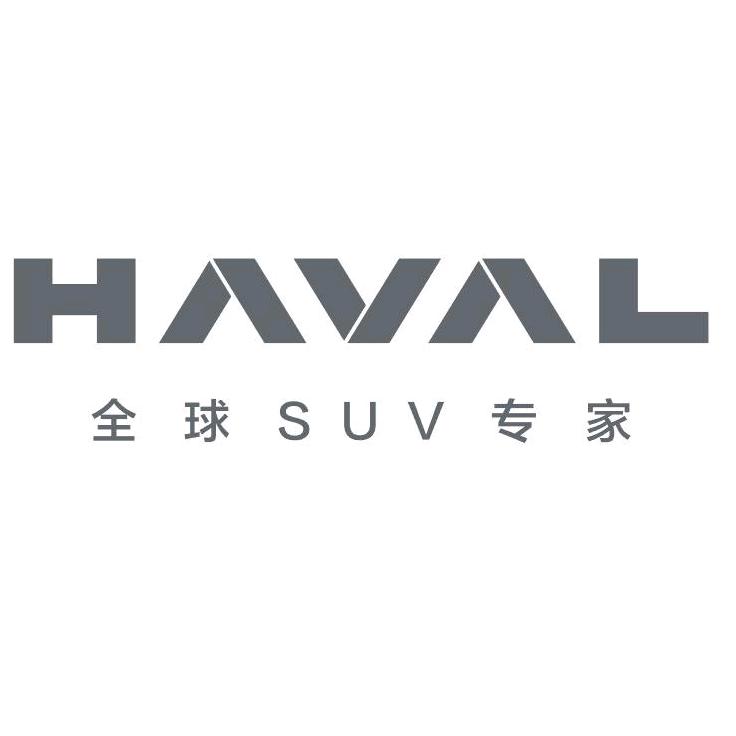 荆州哈弗新能源小胡