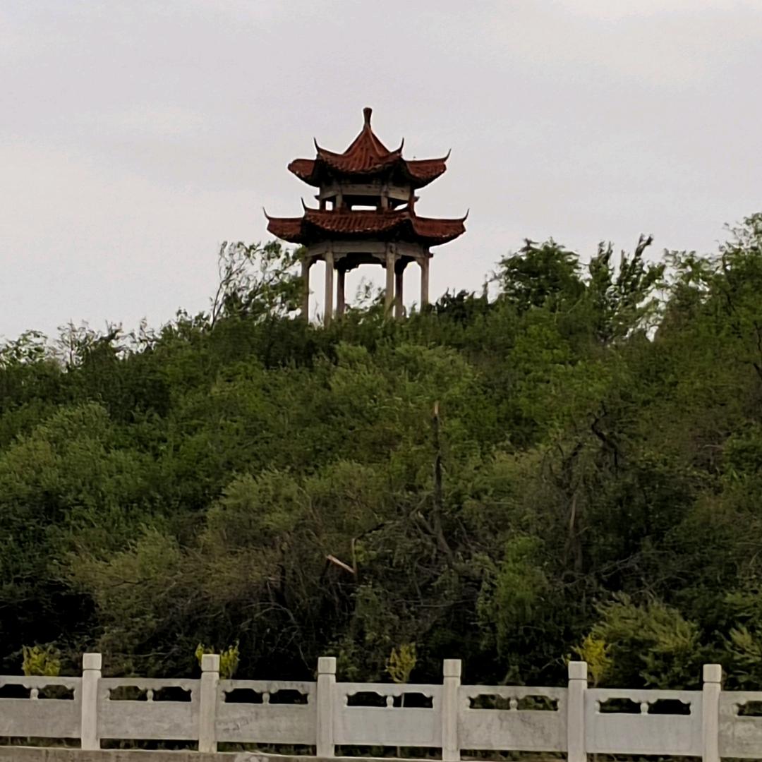 糊涂