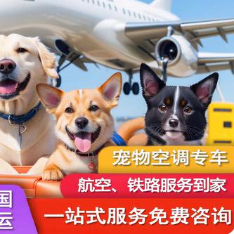 国内国际宠物托运服务