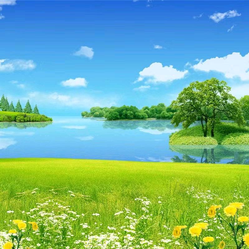 木♥(｡￫v￩｡)♥易yh