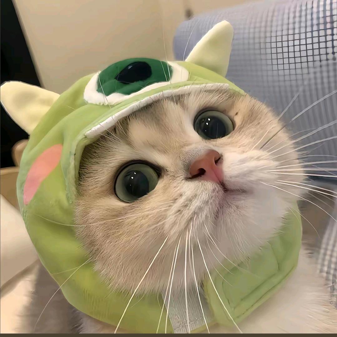 Murmurybb吖‘‘’