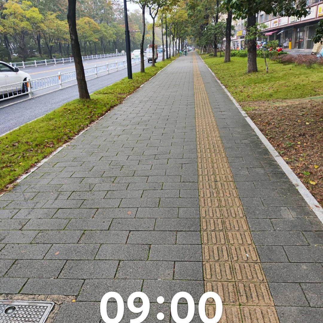 城市卫生宣传专员