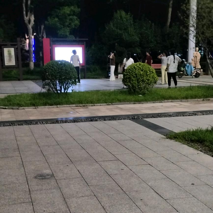 🇨🇳向阳而生🇨🇳