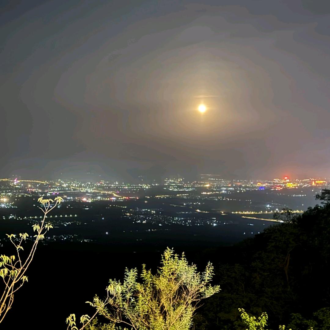 💓 ͜所有的错都是我的错🐾