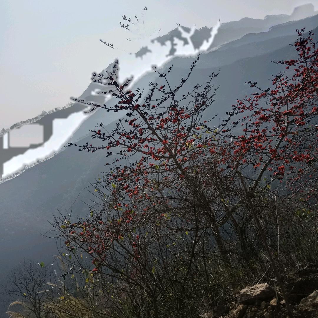 芝芝梦幻好物店