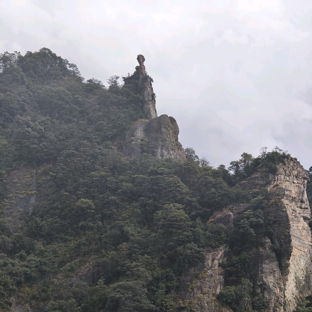 向往明天