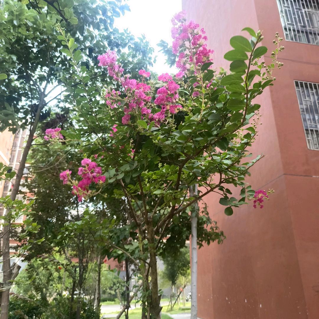 太阳