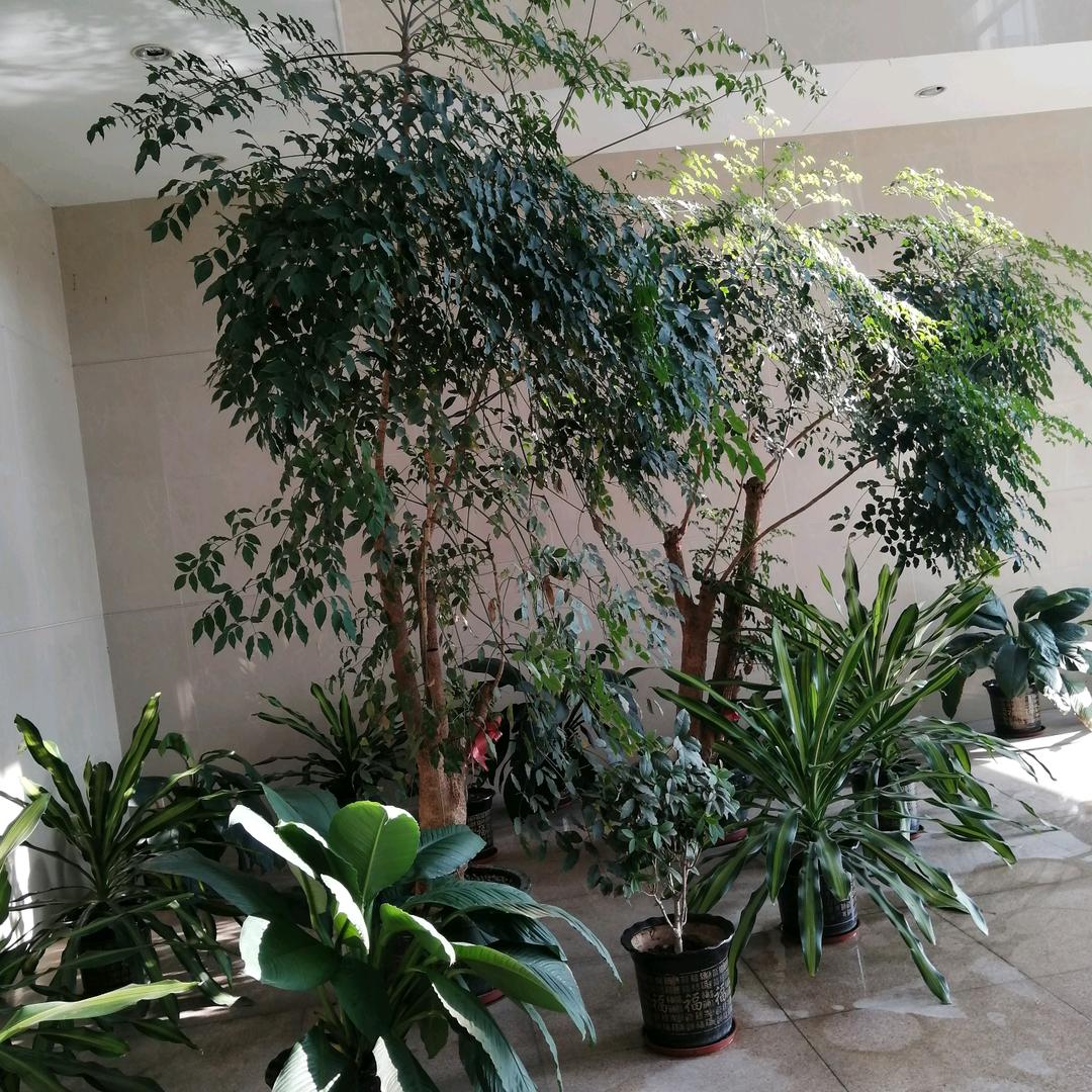 为了生活四处奔波