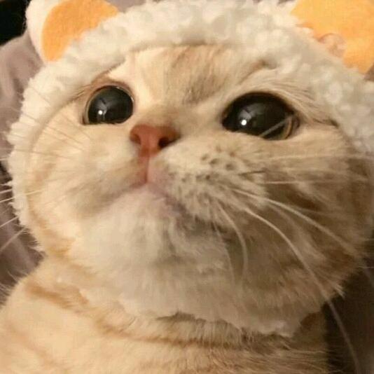 ꧁花无悔꧂