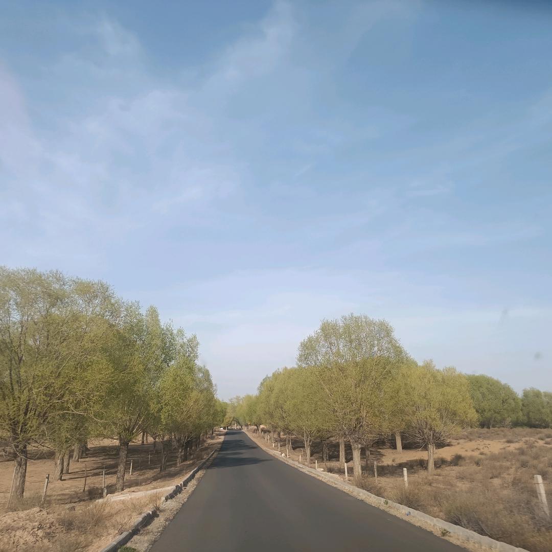 小先森