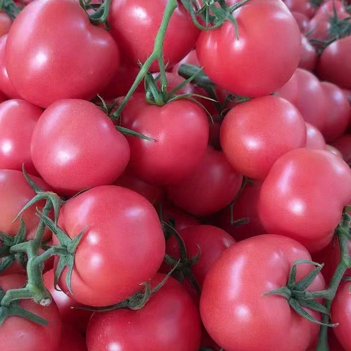 狂拽炫酷吊炸天