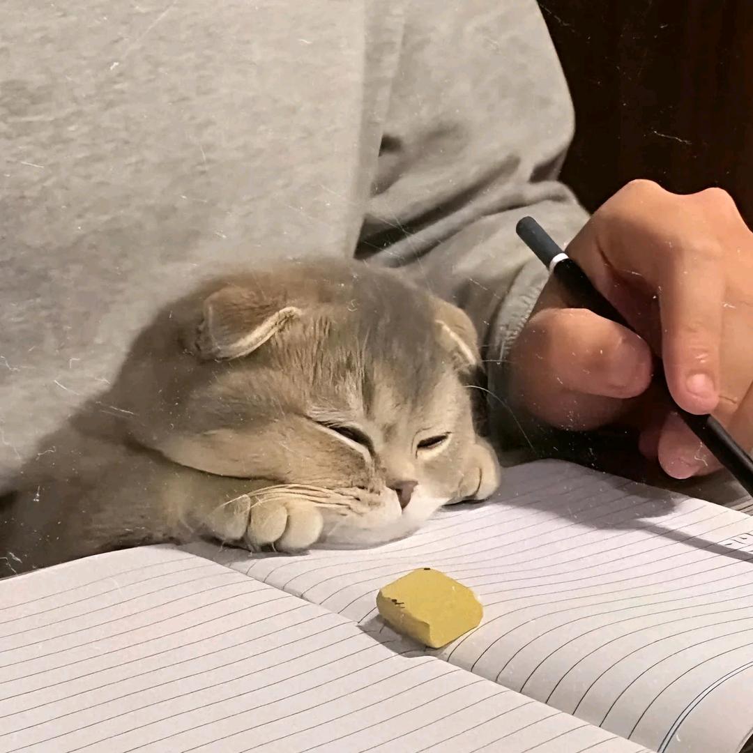 困困（三角洲）