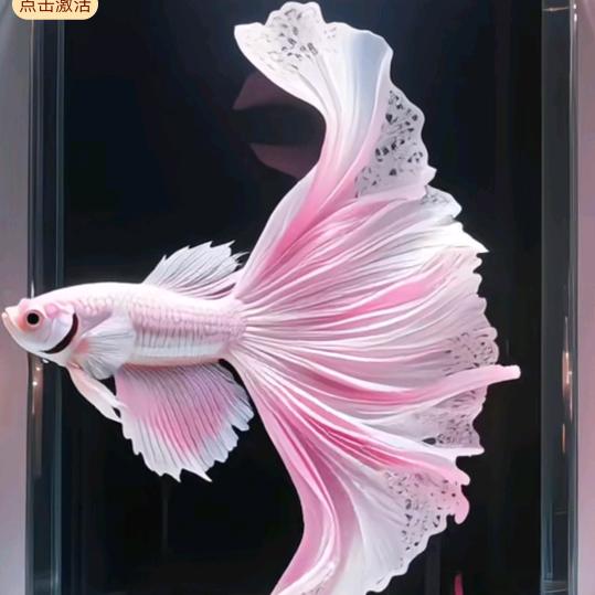 小麦穗2