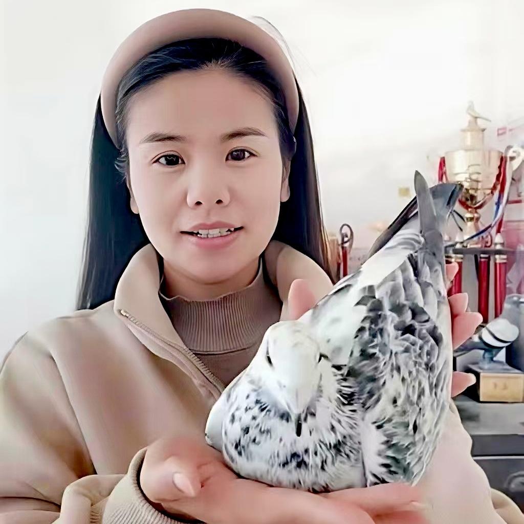 兄弟信鸽小院