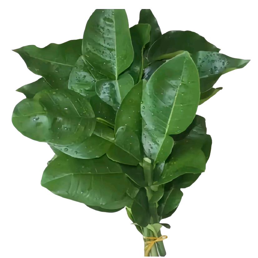 麻辣螺蛳粉🍲（养成系）