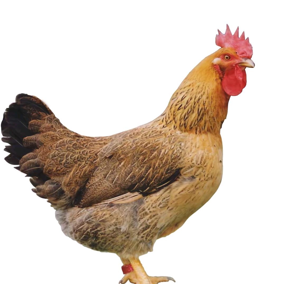 ㅤㅤ 　 ㅤㅤㅤ