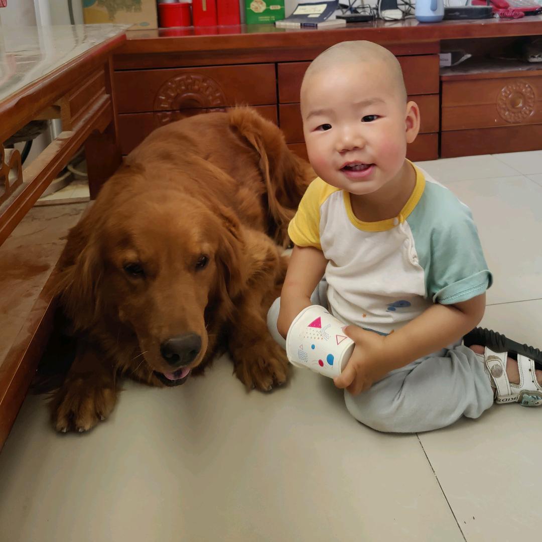 一只孔小鱼