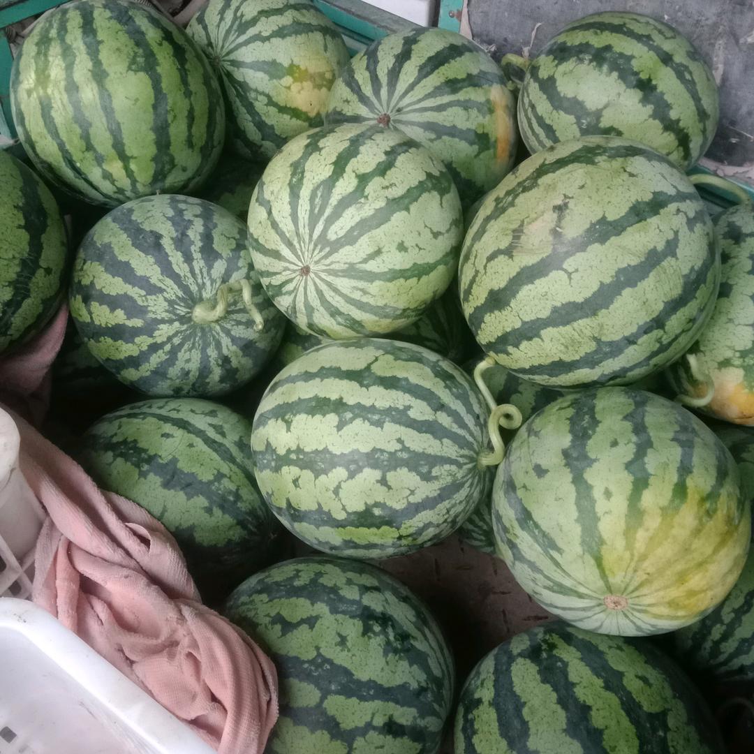 螺蛳粉粉
